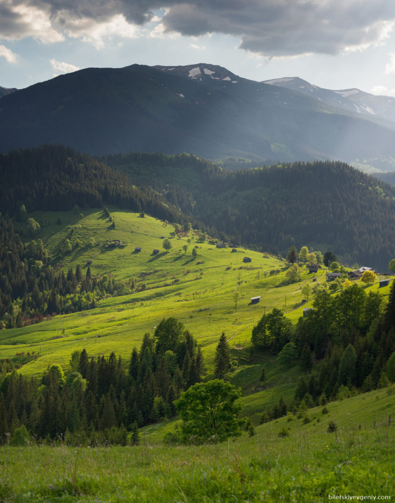 Summer Carpathian mountains, Ukraine - Biletskiy Evgeniy, photography